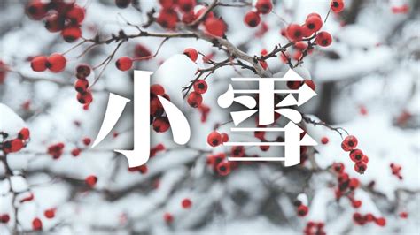 節氣立冬|24節氣立冬：習俗、禁忌、諺語、天氣、養生重點一次看